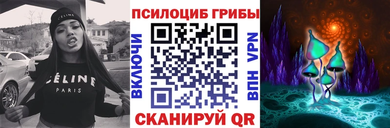 Псилоцибиновые грибы MAGIC MUSHROOMS  гидра ссылка  Шуя  купить  